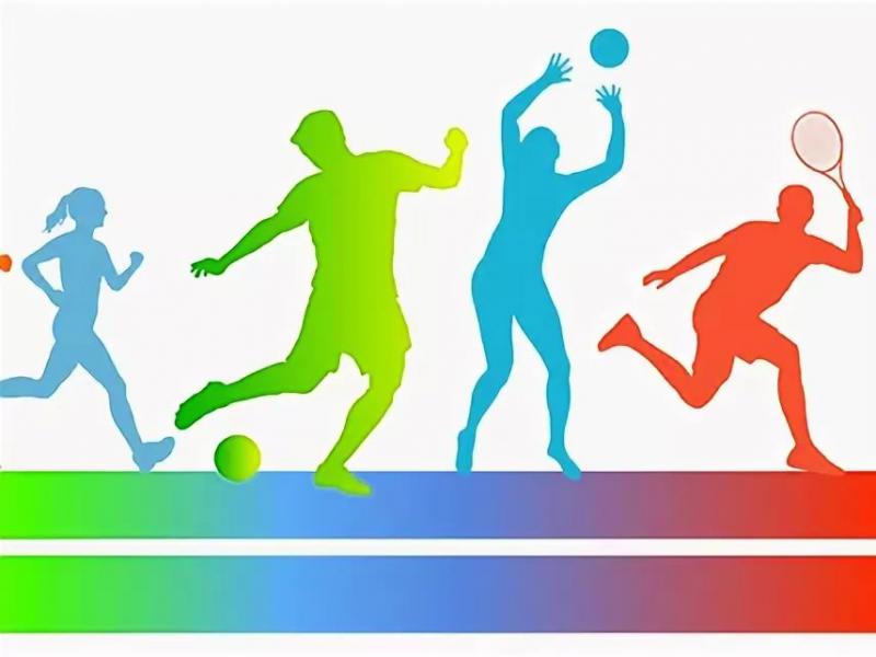 спорт и физкультура
